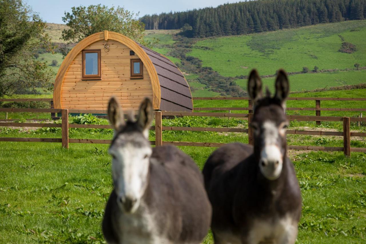 Luxury Two-Bed Glamping Pod In County Clare 2 Villa Kilbane Exterior photo
